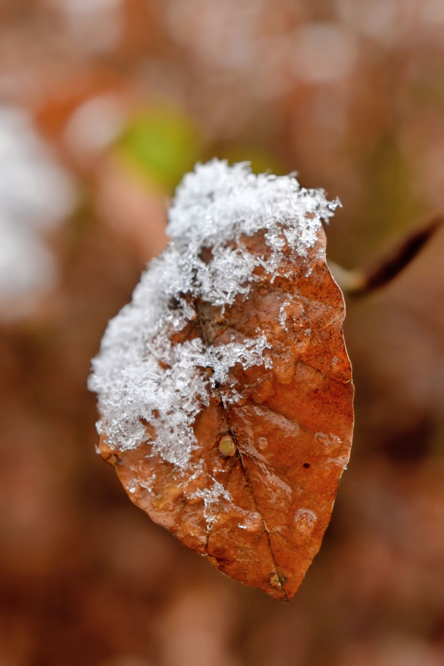 雪の結晶はなぜ六角形？水の分子が決めていた